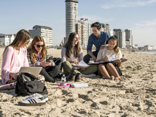 Studenten op het strand samen aan het studeren